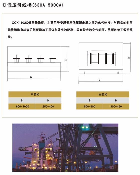 亚洲精品久久国产精品37P